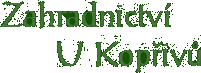 Primary Raster logo